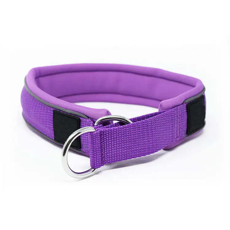 Factory Recommend Training Dog Collar Super Soft Neoprene Lining Nylon Reflective Pet Dog Collar For Outdoor