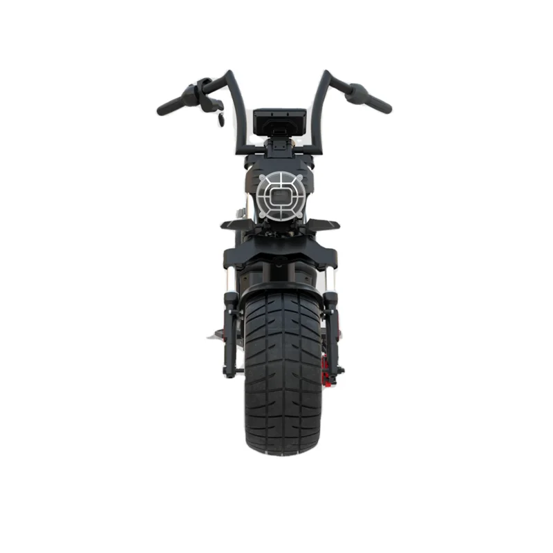 EEC COC approved 45 60 70 kmh 3000 w 3000w citycoco