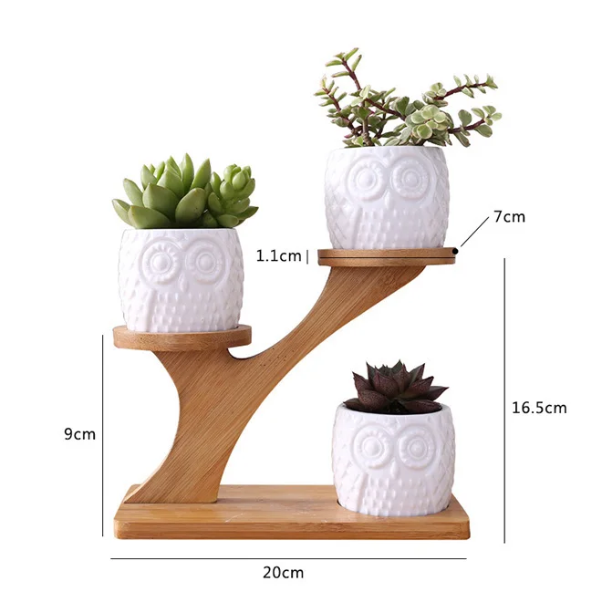 Dropshipping Owl Cat Paw Succulent Pots with 3 Tier Bamboo Saucers Stand Holder Flowerpot Planter with Drainage for Home Office