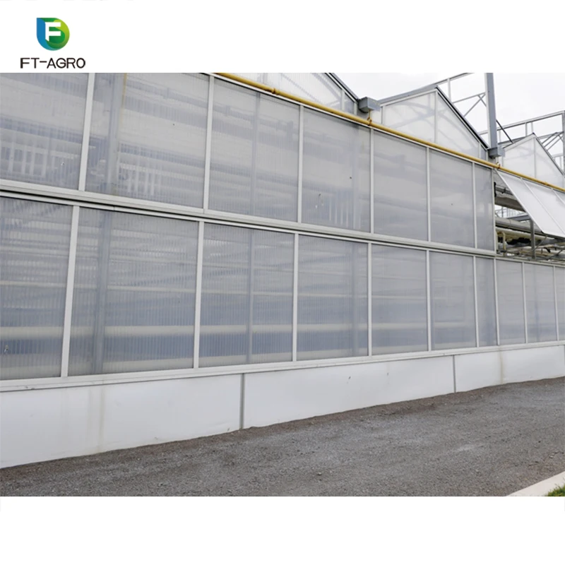 Greenhouse PC sheet vegetable production complete  greenhouses china