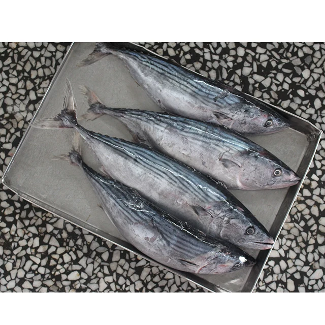 Замороженные сардины, тунец, 500-1000 г