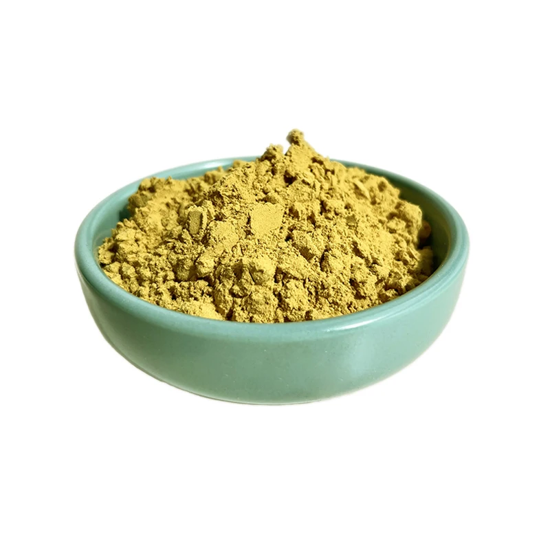 ISO Factory Supplier Hot-selling Berberine Hydrochloride Coptis Chinensis Extract 98% Berberine
