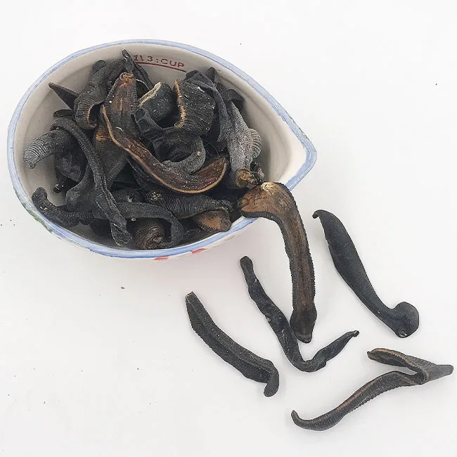 
Professional Manufacture Medicinal Dry Leeches 
