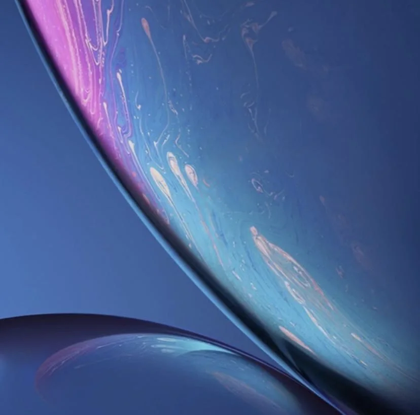 Fresh Duck_final_new-in_ali_order_non1019