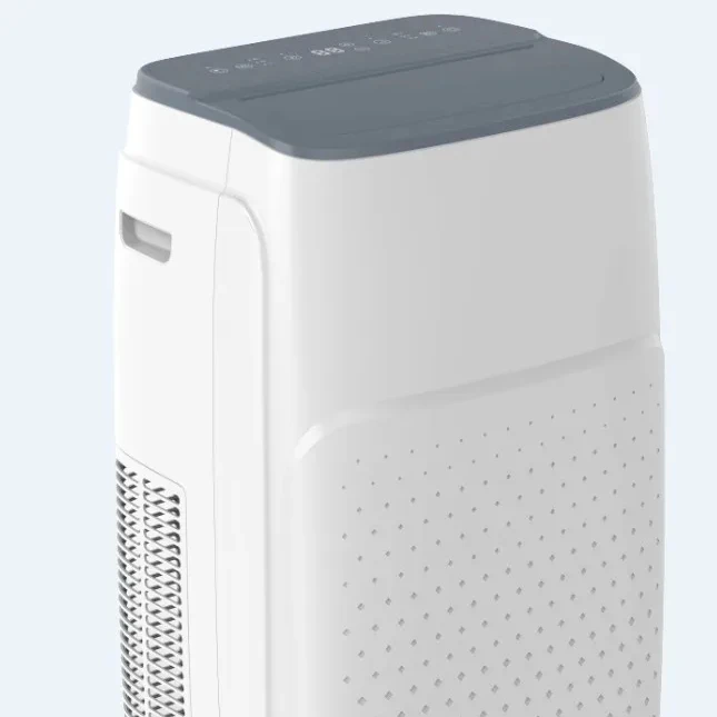 Home Appliances R410A and R290 Mobile or Portable Air Conditioner