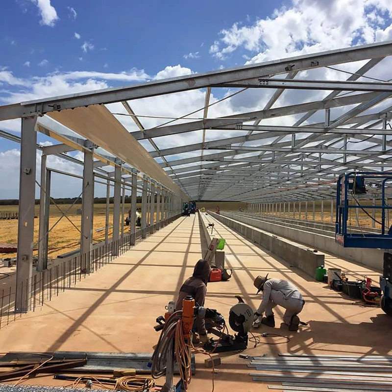 High Quality  Cheap Prefabricated DWG Designs Chicken Steel Structure  Coop Houses Shed For Sale