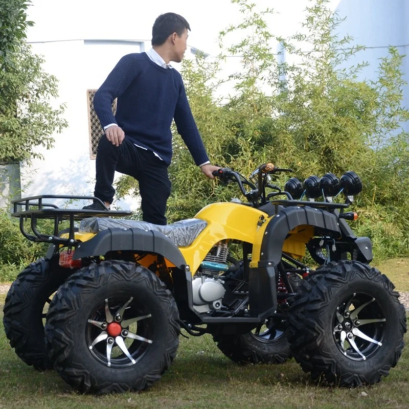 Роскошный открытый пляж горы 150 электрические квадроциклы Atv для