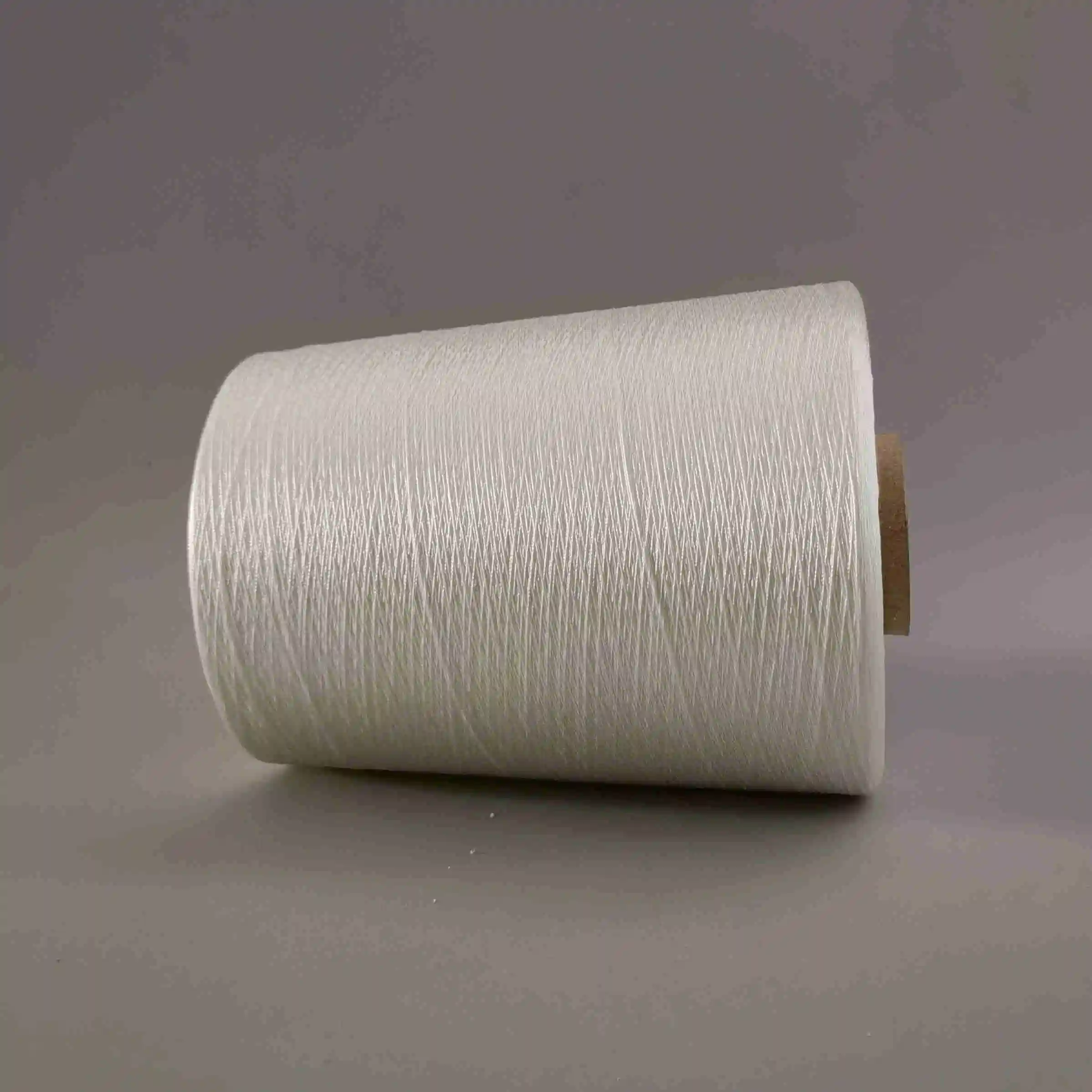 120D/2 viscose rayon silk yarn thread for sewing