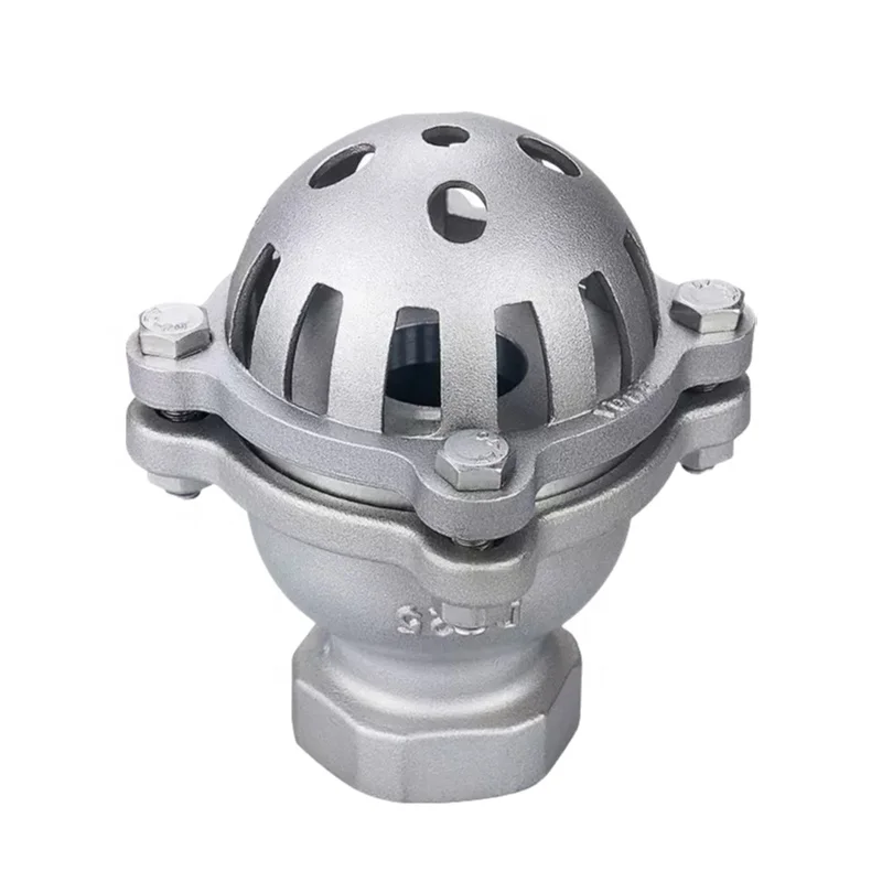 H12W Stainless Steel Foot Valve Bottom Valve Thread Check Valve for General Application