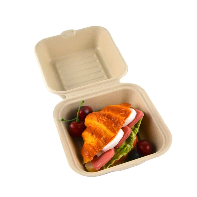 Take Away Container Paper Food Box Biodegradable Clamshell Pulp Burger Box