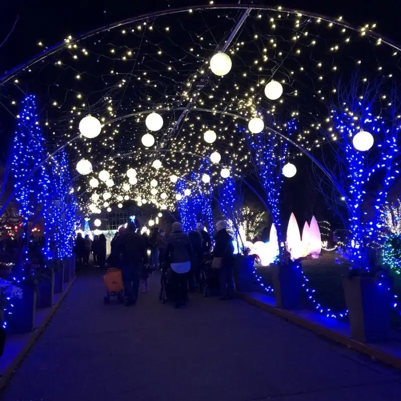 DC12V/24V 0.7W product DMX control 80mm led RGB bulb IP 65