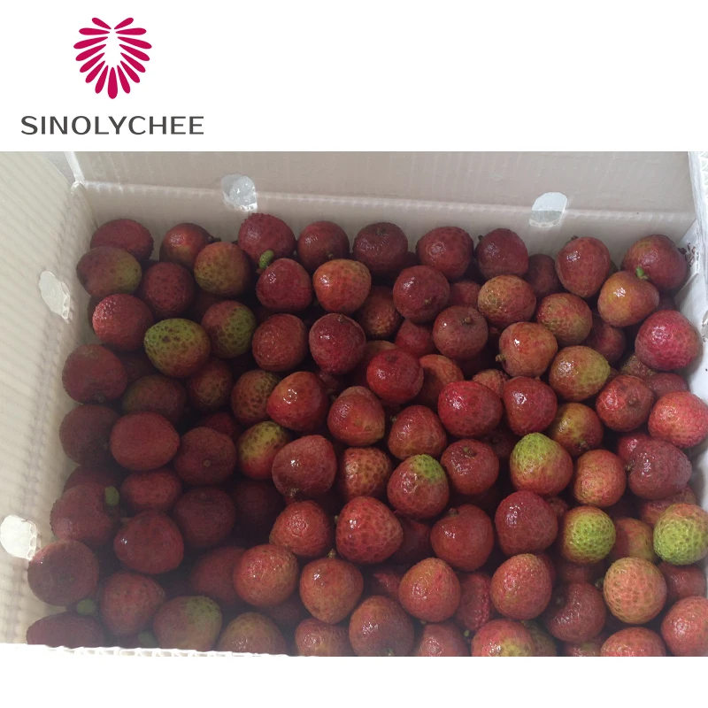 Good Quality Wholesale Fresh Lychee Litchi Lichee from China