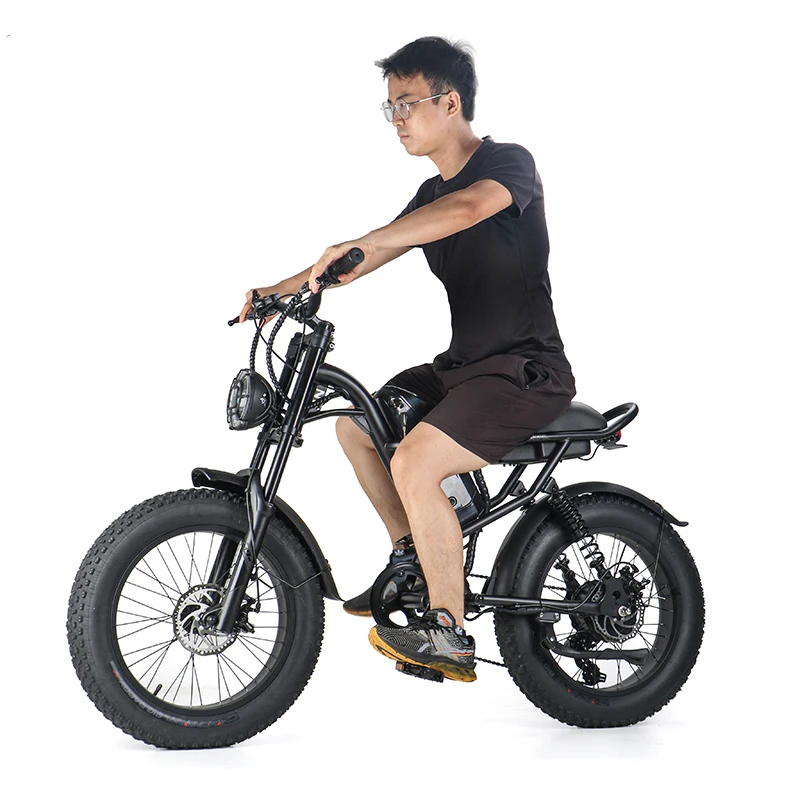 Factory Supply 20 Inch Fat Tire Electric Bikes Mountain Electric Bicycle 48V City Ebike For Adults