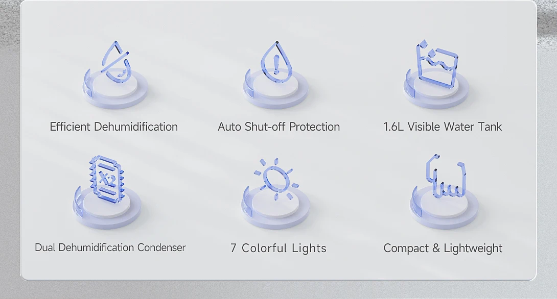 20240806-Macro-duo-_02