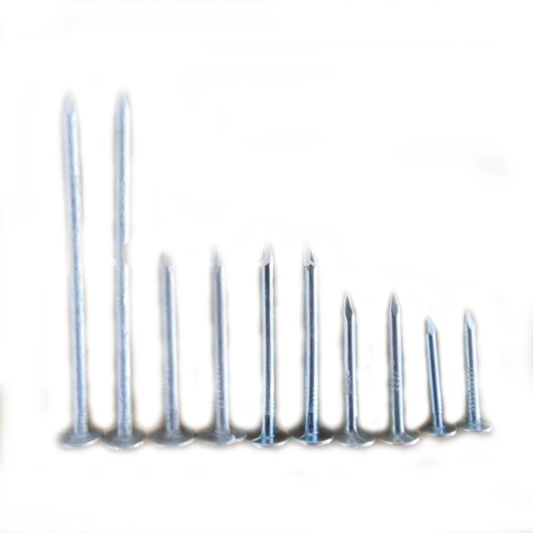
Stainless Steel/common Wire Nail 