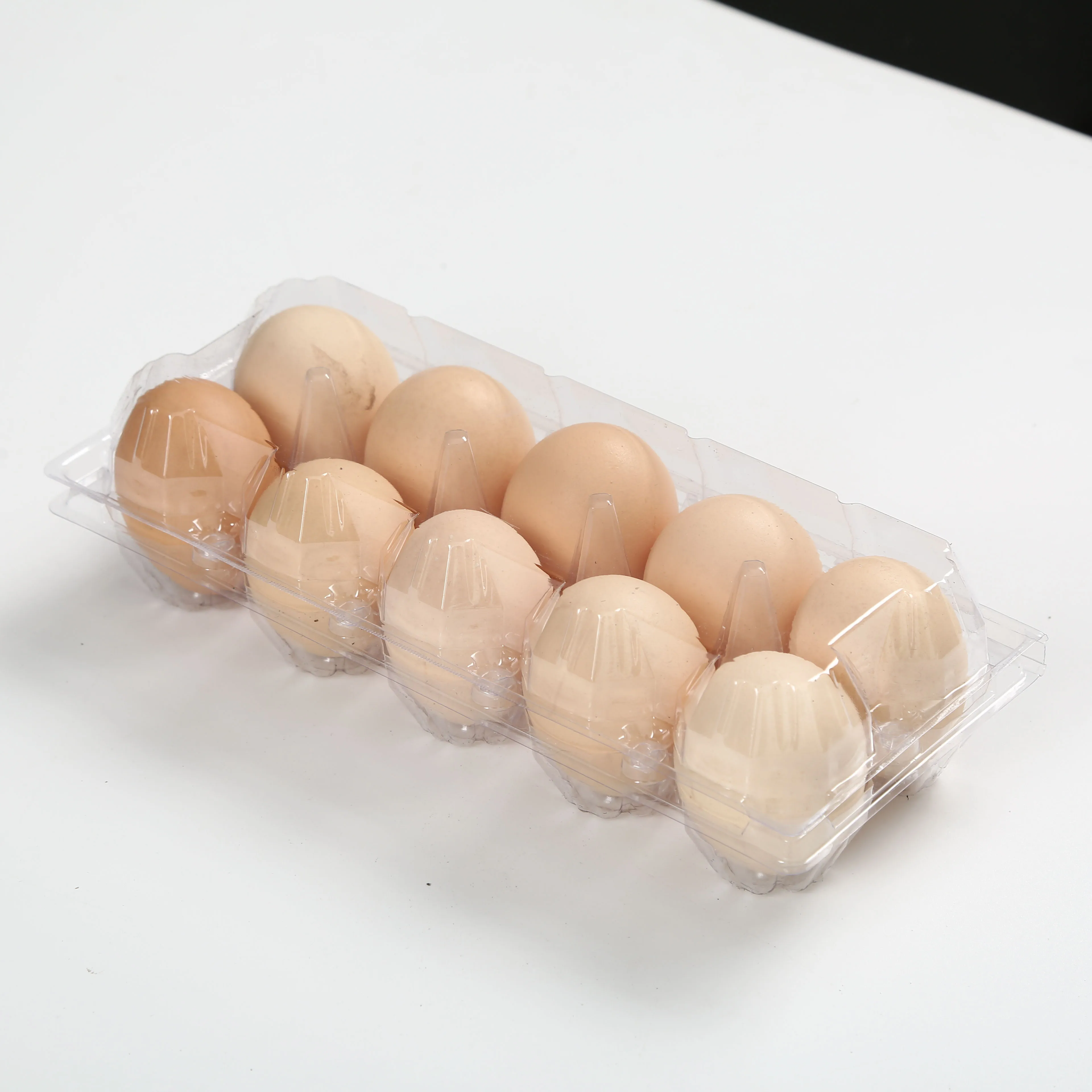 Clear 10 Egg tray quail egg tray