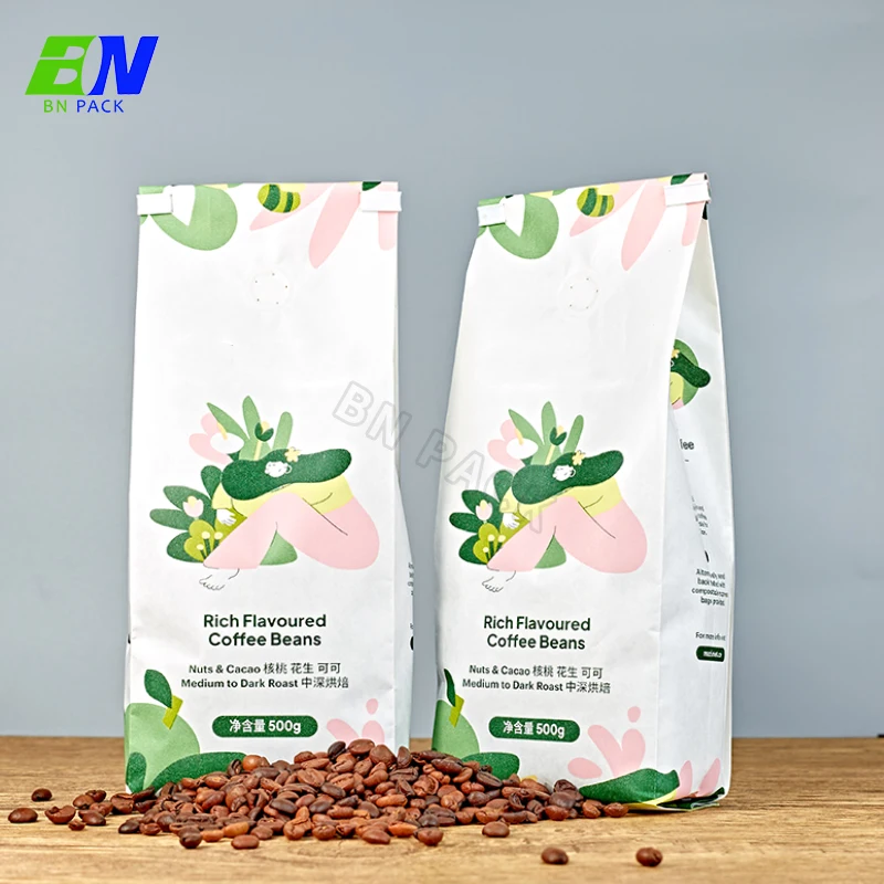 Bio Pla Biodegradable Coffee Bags With Valve and Zipper Custom Paper Packaging side gusset  Coffee Bean Bag  250g