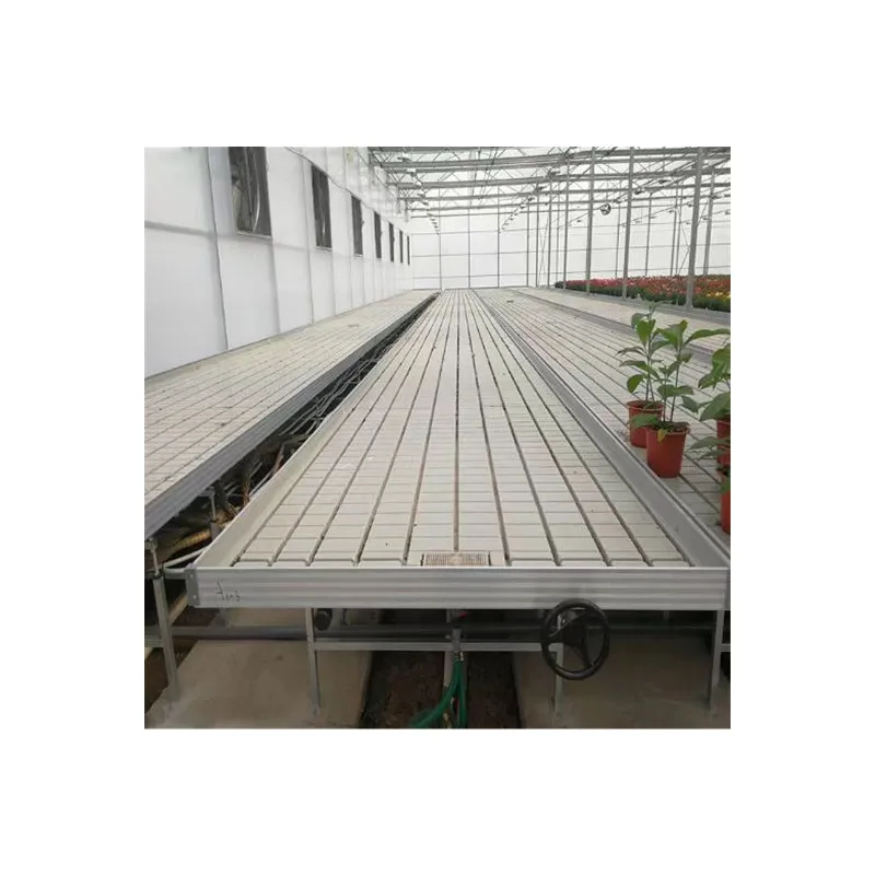 hydroponic seedbed grow tables Plastic Ebb Fodder Hydroponic Trays For Indoor Vegetable Planting