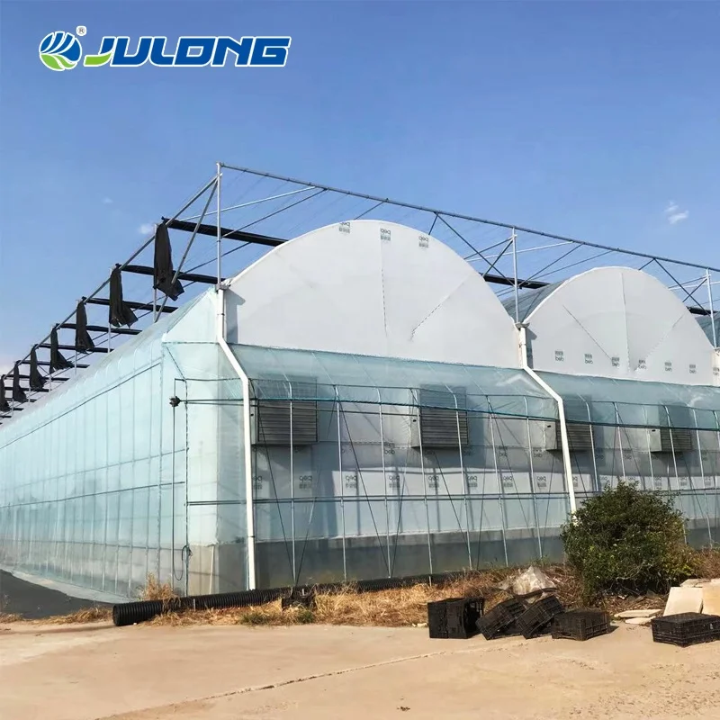 Cheap Hydroponic Multi Span Greenhouse Smart Farm Tomato Strawberry Greenhouse Supplier