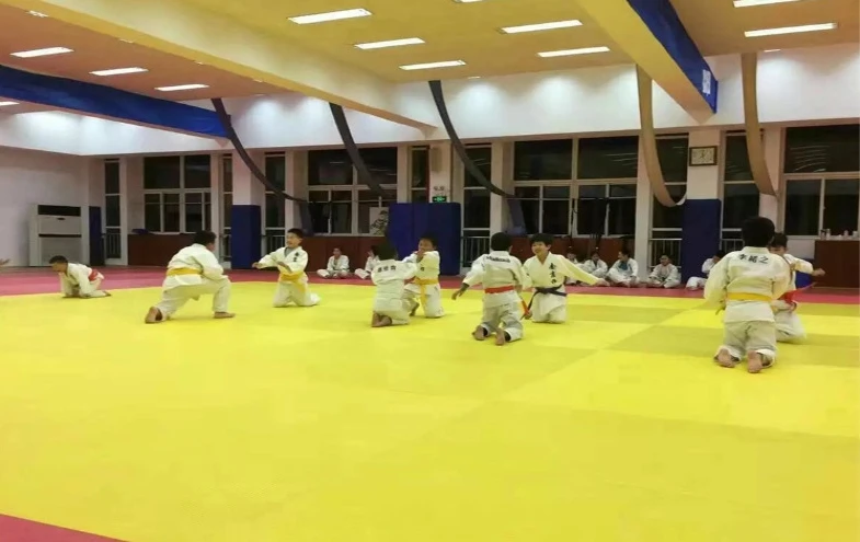 Tatami judo training mat composed foam 180gsm 230gsm anti slip for BJJ IJF events