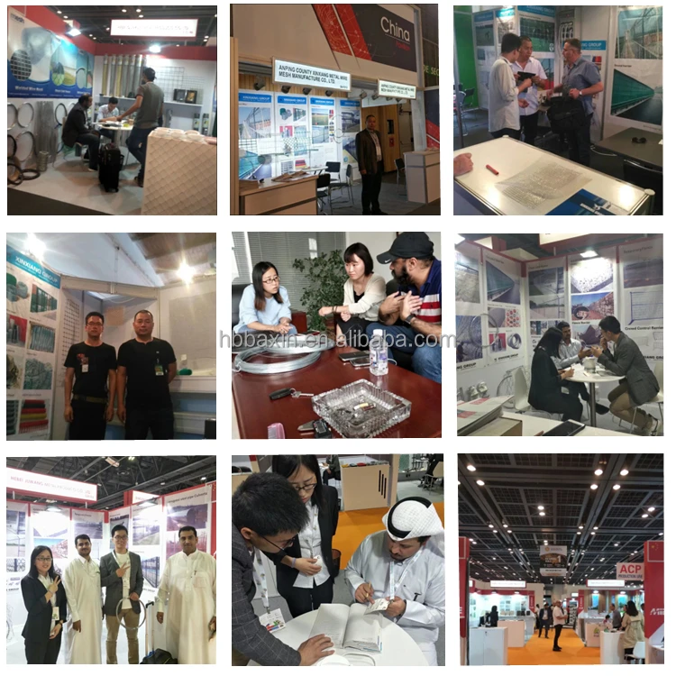 exhibition