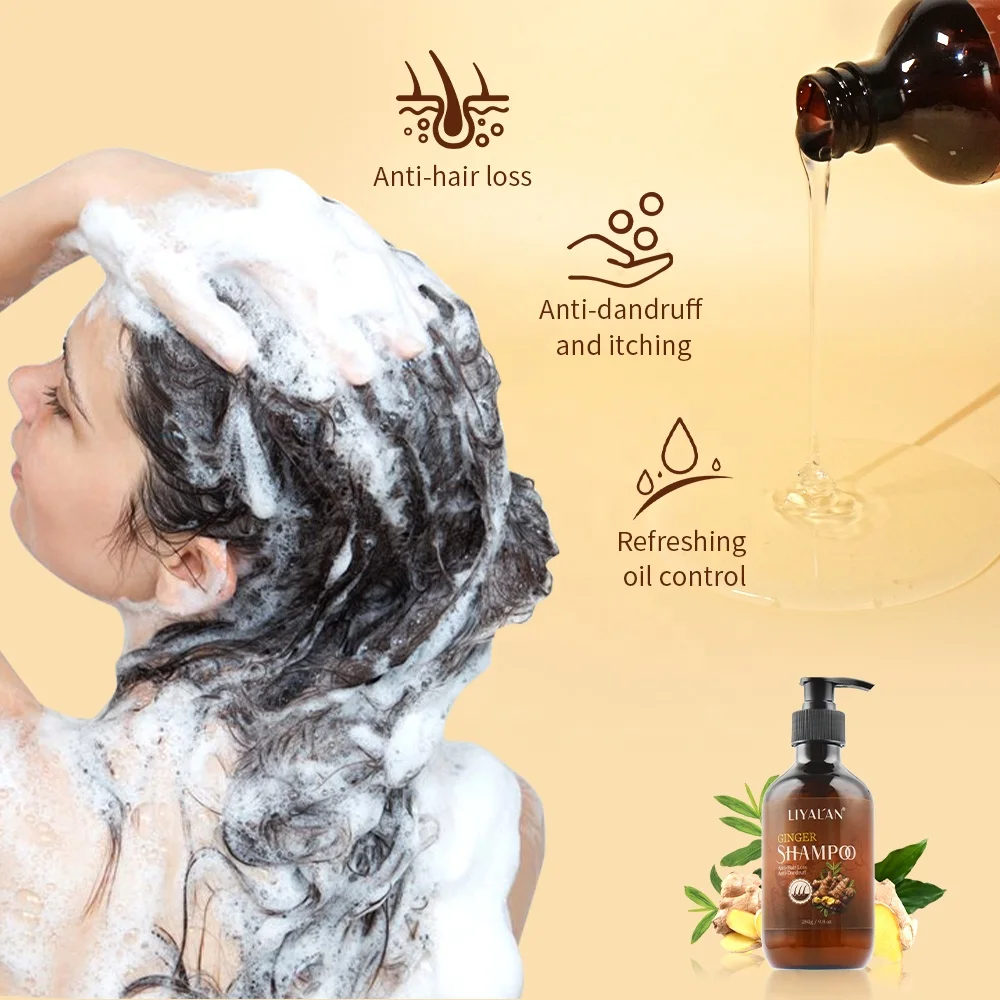 Natural Organic Hair Products Deep Clean Anti Hair Loss Anti-Dandruff Hair Growth Ginger Shampoo