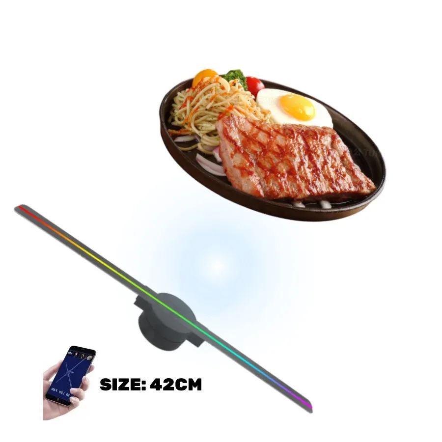 Factory direct sales 3d hologram led fan Two blades 42cm 3d hologram led fan display Naked Eye Stereo 3d hologram fan
