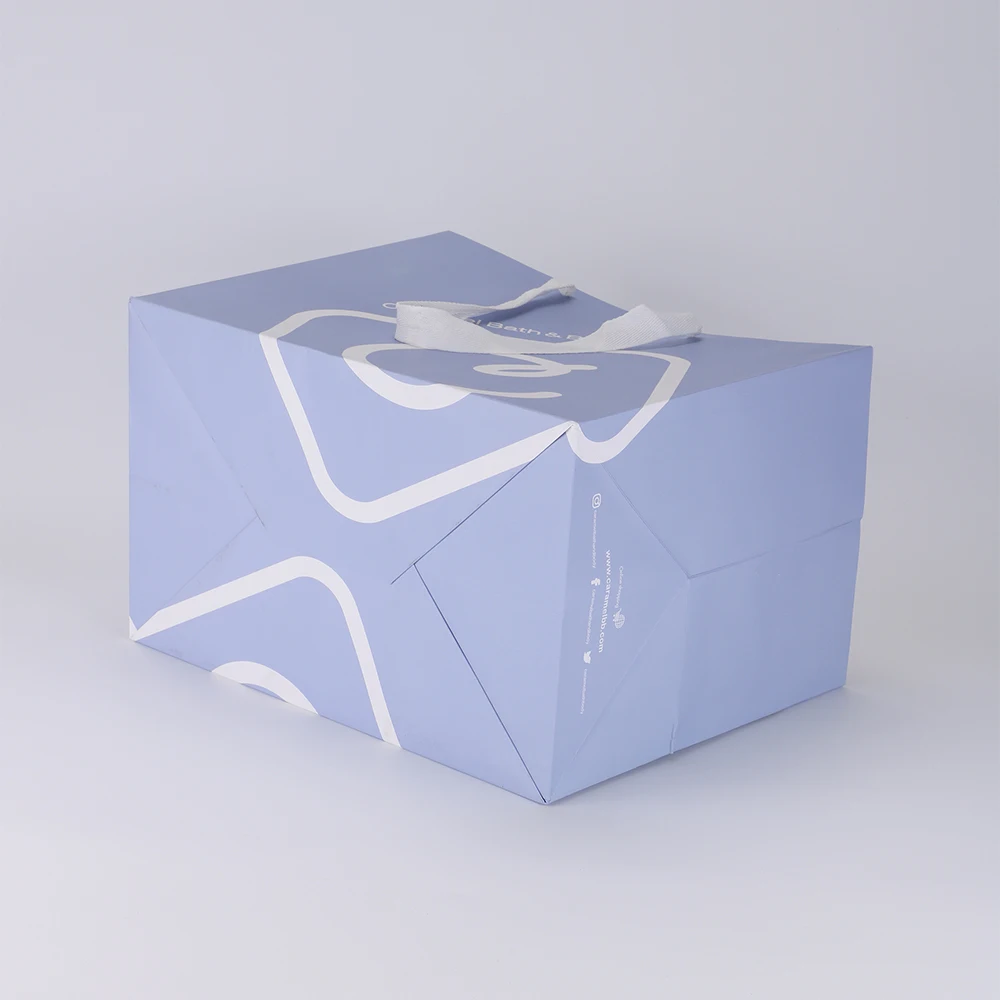 Wholesale Custom Logo Brand Merchandise Boutique Jewelry Gift Clothing Packaging Printed Paper Bag with Ribbon