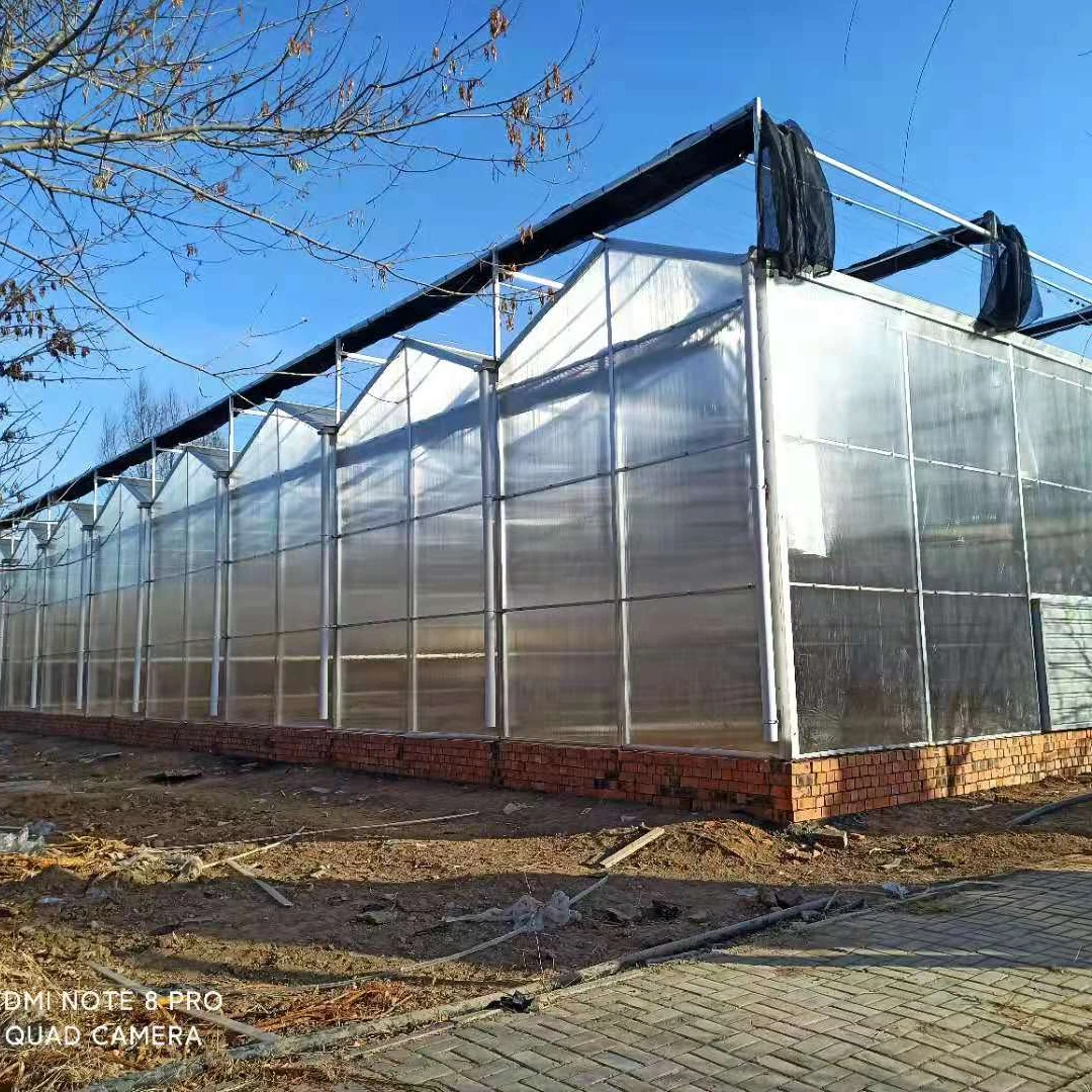 Agricultural Greenhouse from china greenhouse factory