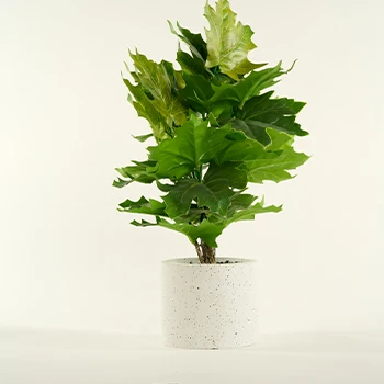 Artificial    plants  in modern concrete pot modern home decor Faux potted Greenery