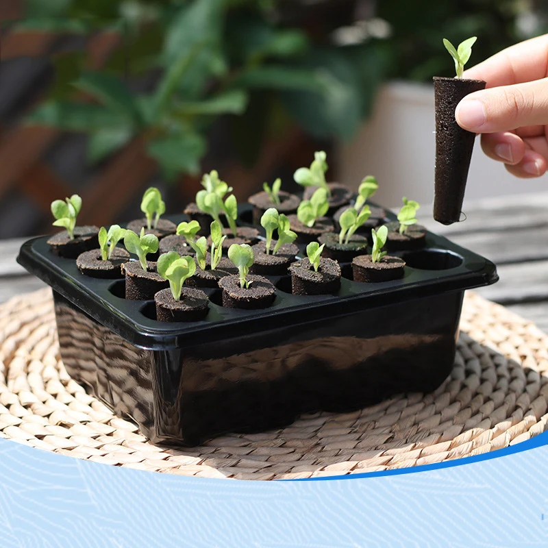 Nursery Seed Trays Seedling Starter Tray Humidity Adjustable Plant Starter Germination Kit