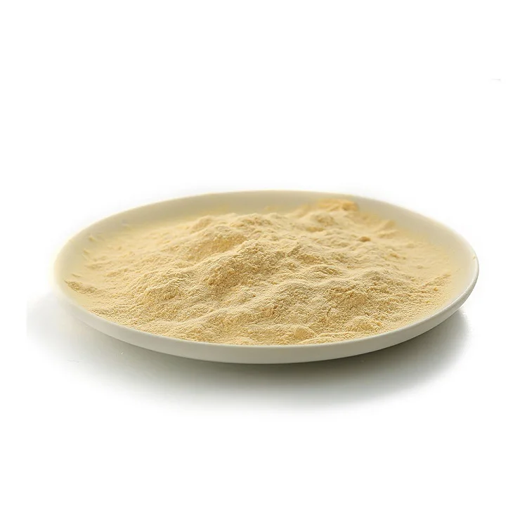 Bacteriological Microbiology Culture Media Price yeast extract powder for fermentation ingredient