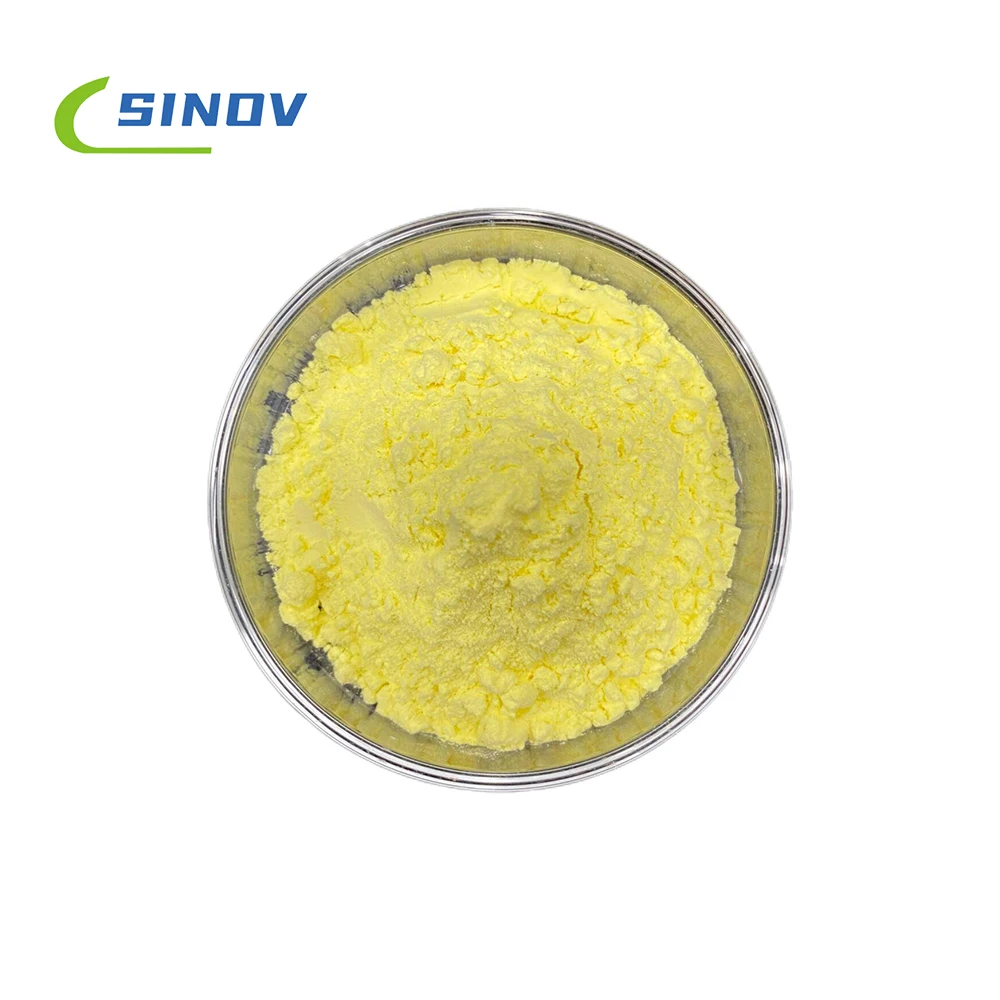 Plant Extract Kava Root Extract 10%-70%Powder  Kavalactone