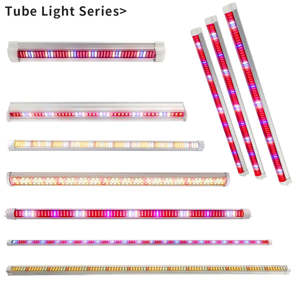 Tube Series.jpg