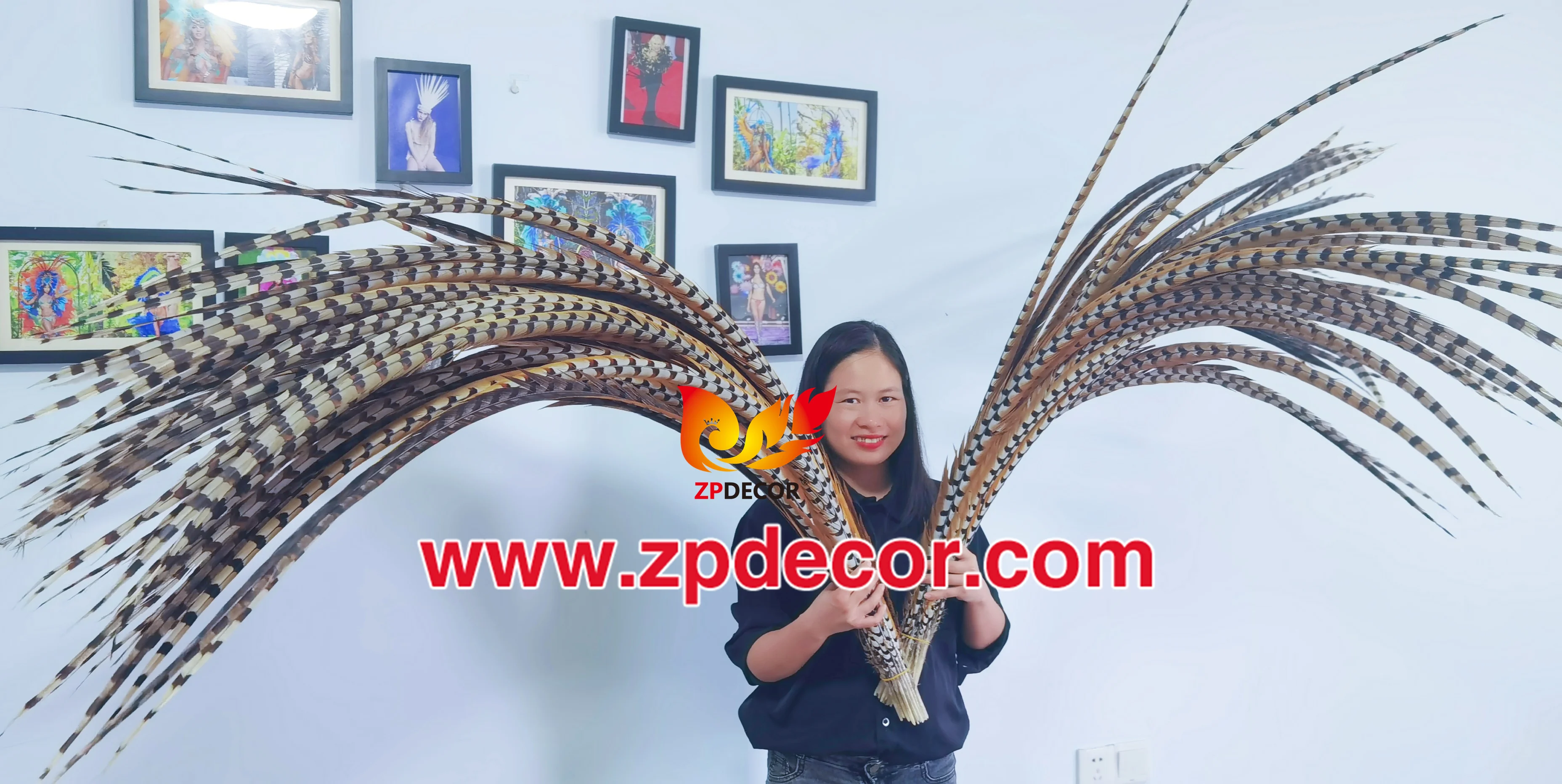 Zpdecor Feathers Wholesale Stock Super Long Natural Reeve Pheasant Tail Feathers for Carnival Costumes