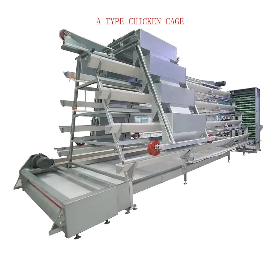 A Type H Type Layer Chicken Hens Cage Poultry Farm Feeder Chicks Broiler Automatic Equipment Chicken Coop Design