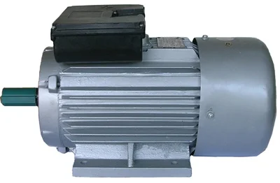 (YL100L2)YL series single-phase two-value capacitor asynchrinous motor