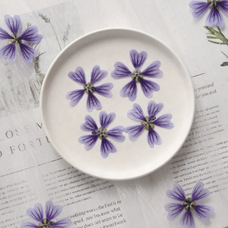 Factory Wholesale DIY material Dried flower pressed Mallow for Phone Case Nail Art Jewelry Postcard candle making decoration