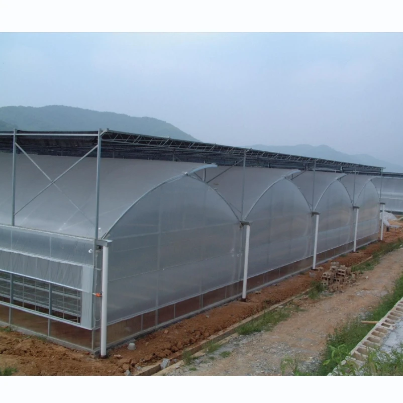 Galvanized Steel Frame  Multi-span PE Film Greenhouse For Agriculture Low Cost Tunnel greenhouse For Flowers plant