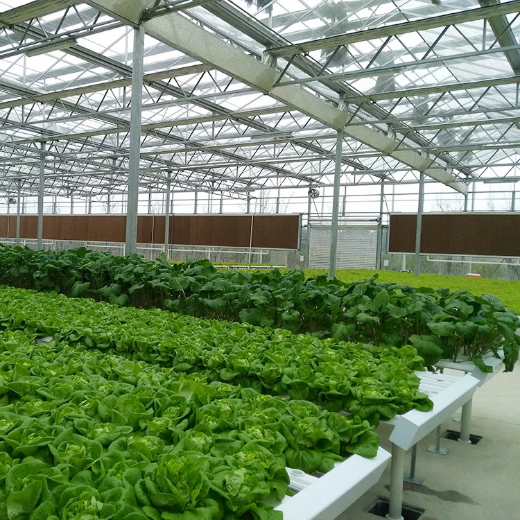 Polycarbonate panel greenhouse for different climate regions