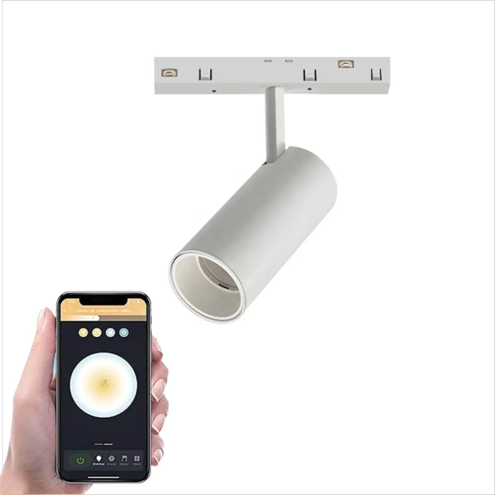 SMART tuya 2,4 г zigbee алюминиевый cri90 Интеллектуальный поверхностный встроенный подвесной светодиодный магнитный Трековый прожектор 48 В светодиодный Трековый светильник