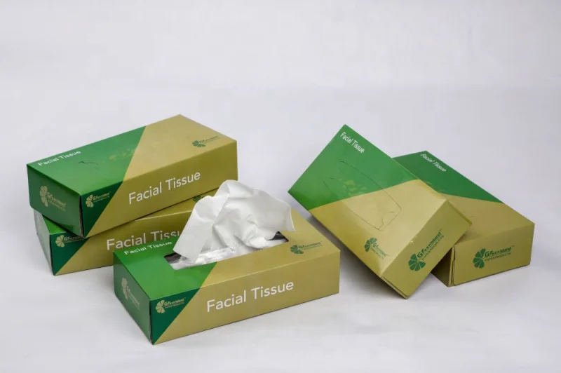 Greenisland hygiene facial tissue soft absorting box tissue OEM good quality