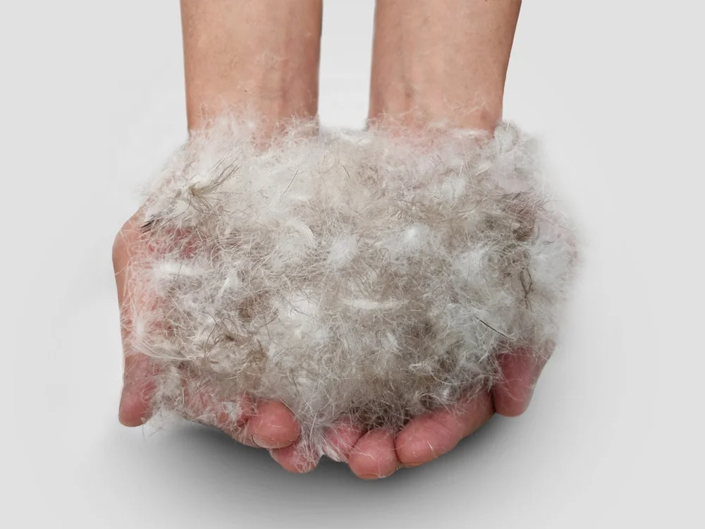 High Filling Power Wholesale Soft Natural Washed Raw Material 95% Grey Feather Duck Down for Pillow Quilt