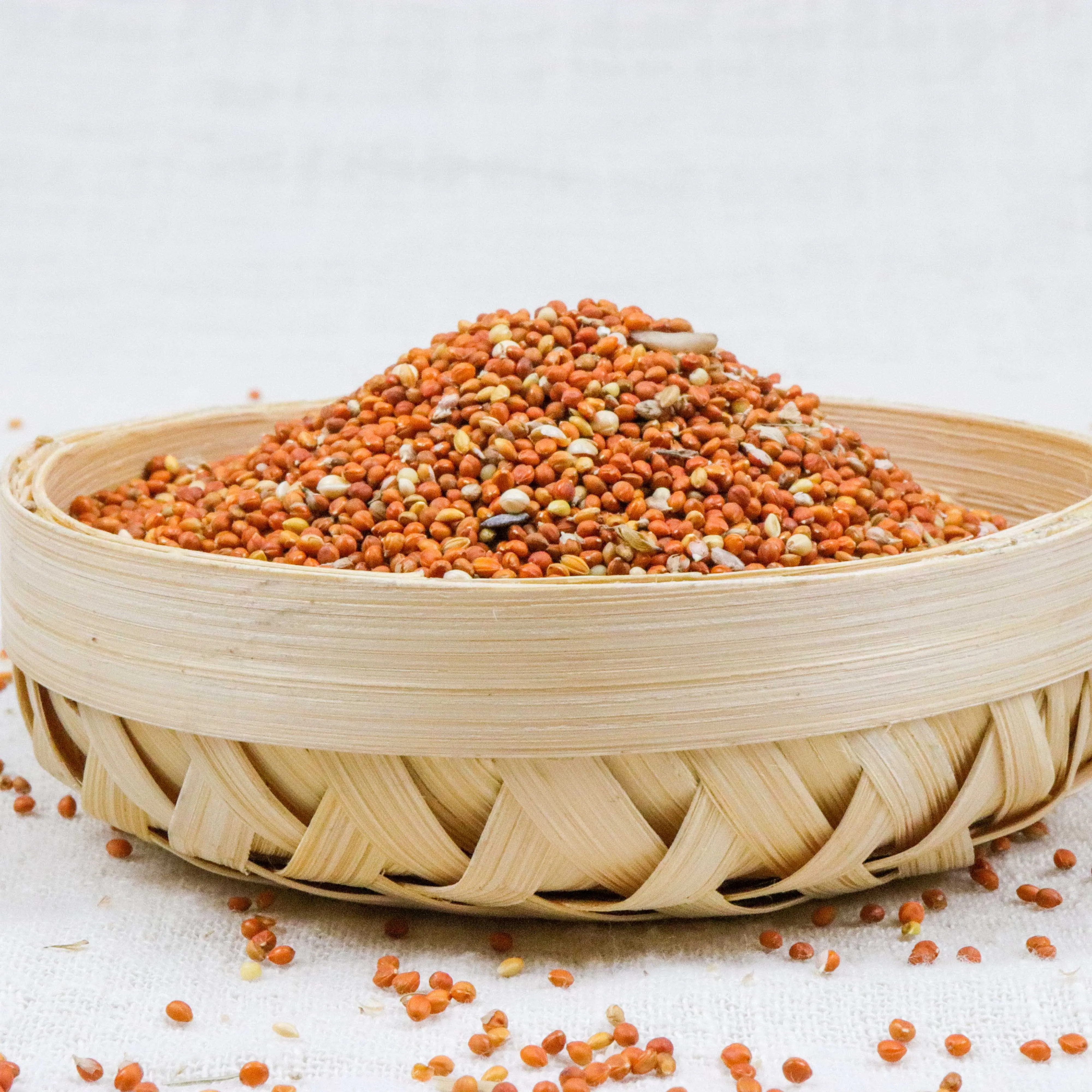 High quality red broom corn proso broomcorm millet