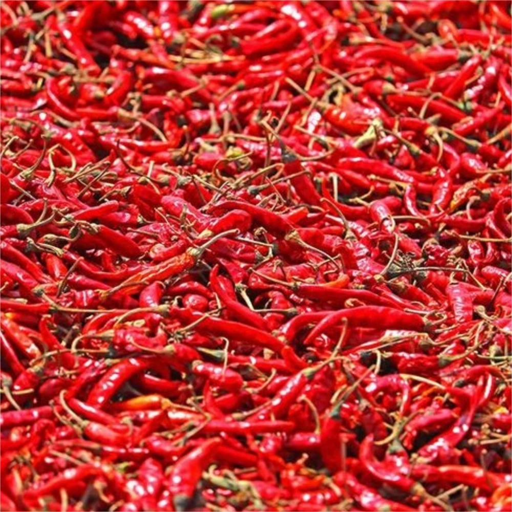 Competitive Price Organic Healthy New Crops Pepper Sauce China Spice High Quality Hot Pot Seasoning Small Red Chilies