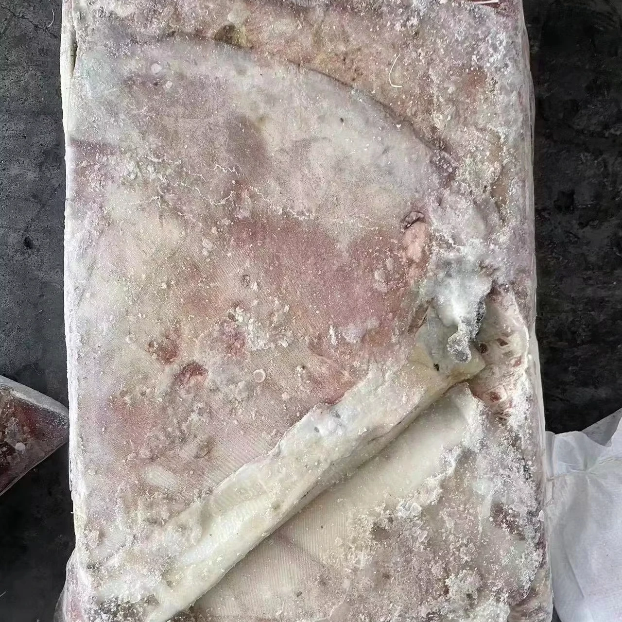 Frozen dosidicus gigas wings Peru Squid wings with skin  Giant squid wings skin on