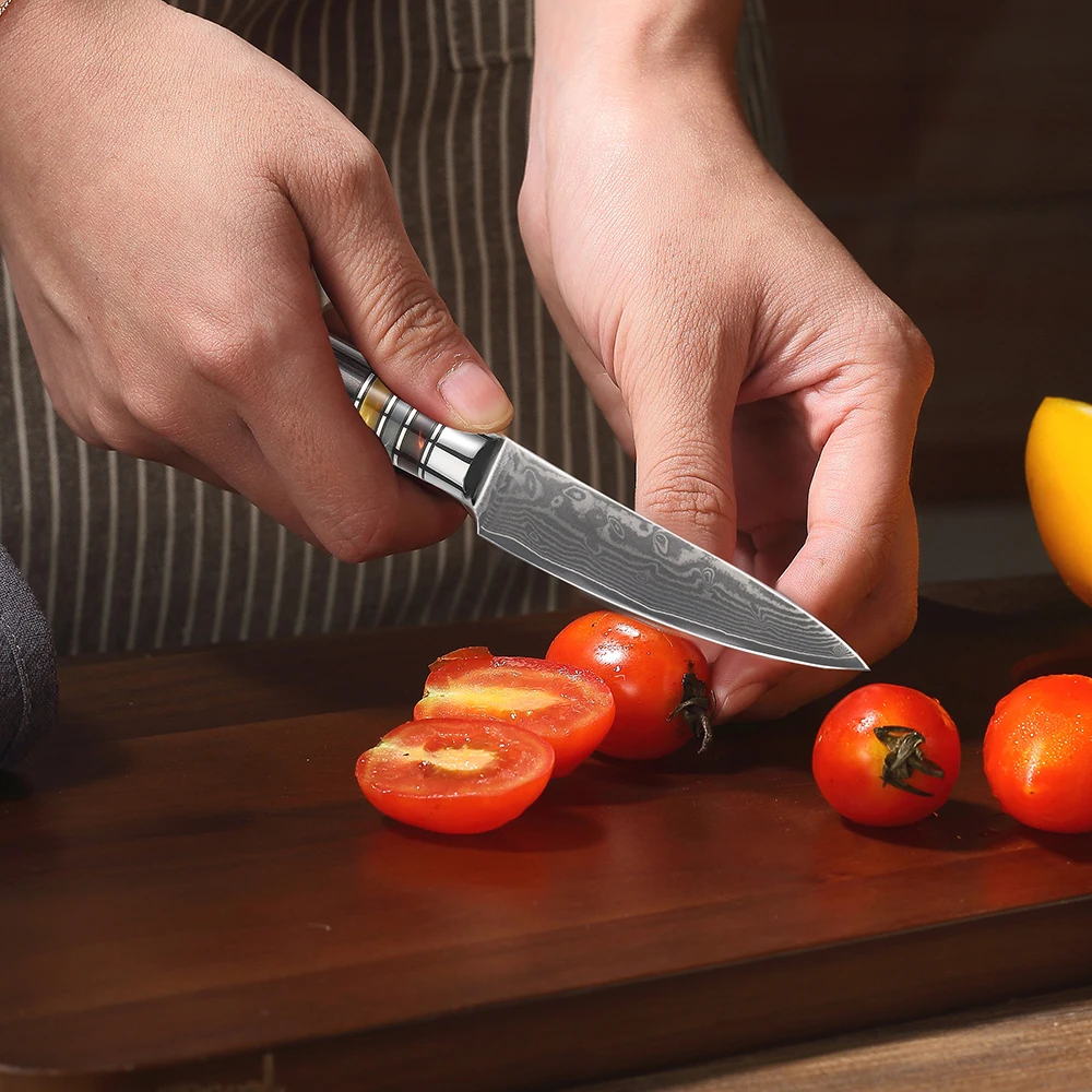 Best Quality Japanese Steel 67Layers 3.5 Inch Damascus Paring Knife