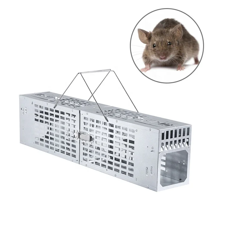 Wholesale price quality mouse live catch rat trap metal, rat trap cage for sale