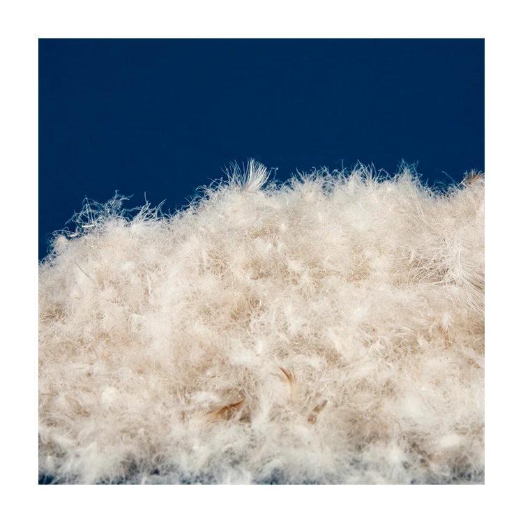 Wholesale Winter Goose Down 850 Fill Made in China