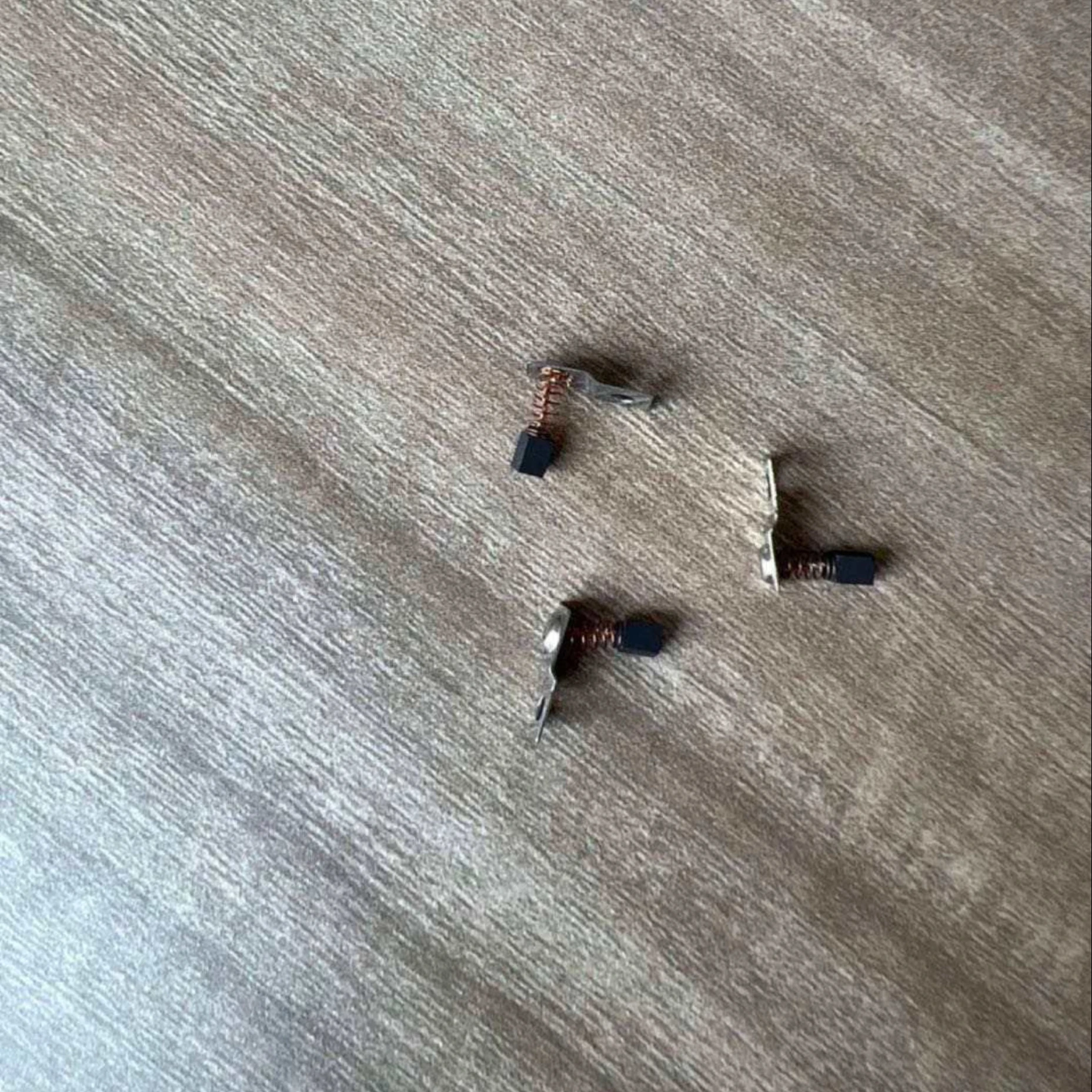 carbon brush